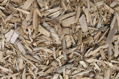 biomass boilers Lately Common