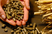 free Lately Common biomass boiler quotes